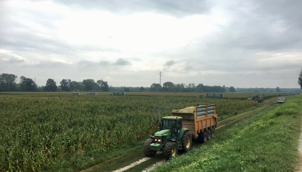 Cereali E Dintorni. Alla Volatilità Si Aggiungono Le Inadempienze Contrattuali. (news Del 17 Marzo 2022 Per Le Notizie Complete E In Tempo Reale Tel. Al Dr. Mario Boggini)