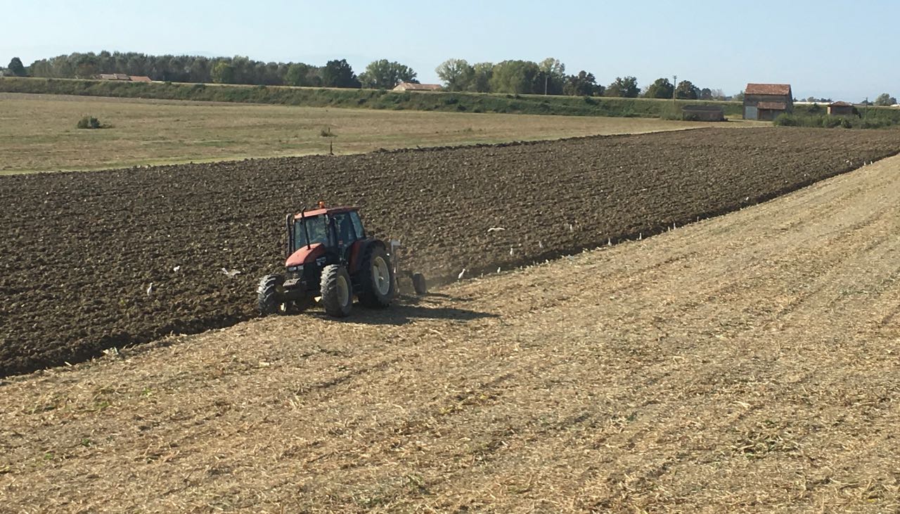 Cereali E Dintorni. All’improvviso Un Sussulto.