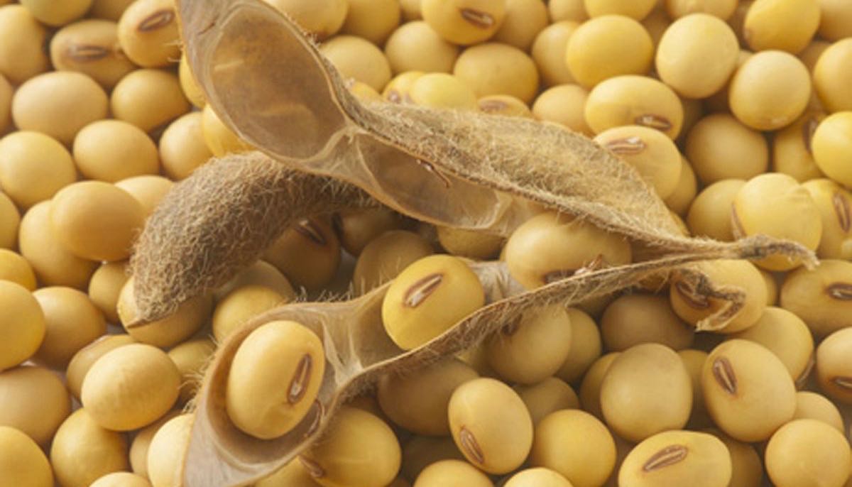 Cereali E Dintorni. Fine D’anno Senza Sorprese, Soya Sempre In Trazione… (per Le News Complete E In Tempo Reale Tel. Al Dr. Mario Boggini)