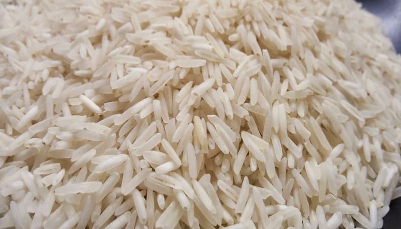 Cereali E Dintorni. 2019 Col Riso In Bocca… (Per Il Post Completo Contattare Mario Boggini)