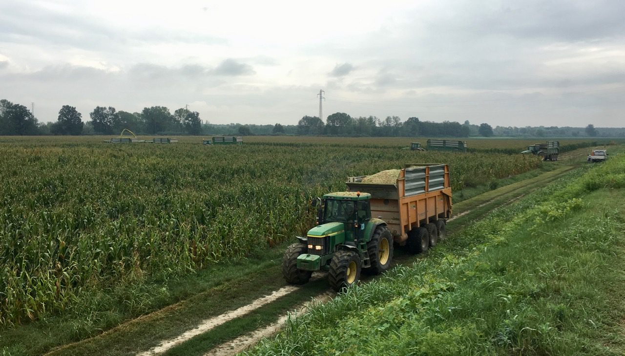 In Attesa Dell’USDA Mercati Ancora Nervosi (news Del 7/6/2019)