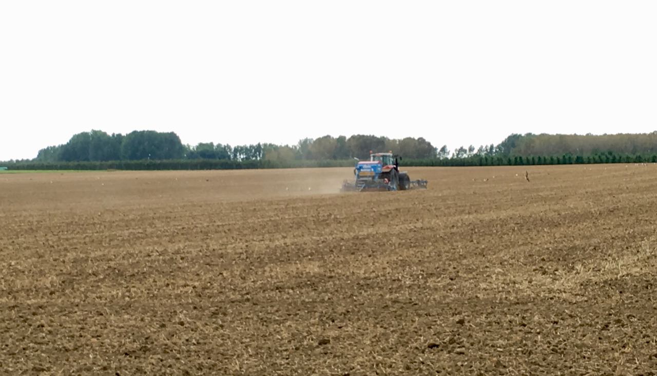 Impennata Di Prezzi Dopo L’uscita Dei Dati USDA. (news Del 13/9/2019 – Per La News In Tempo Reale Tel. Al Dr. Mario Boggini)