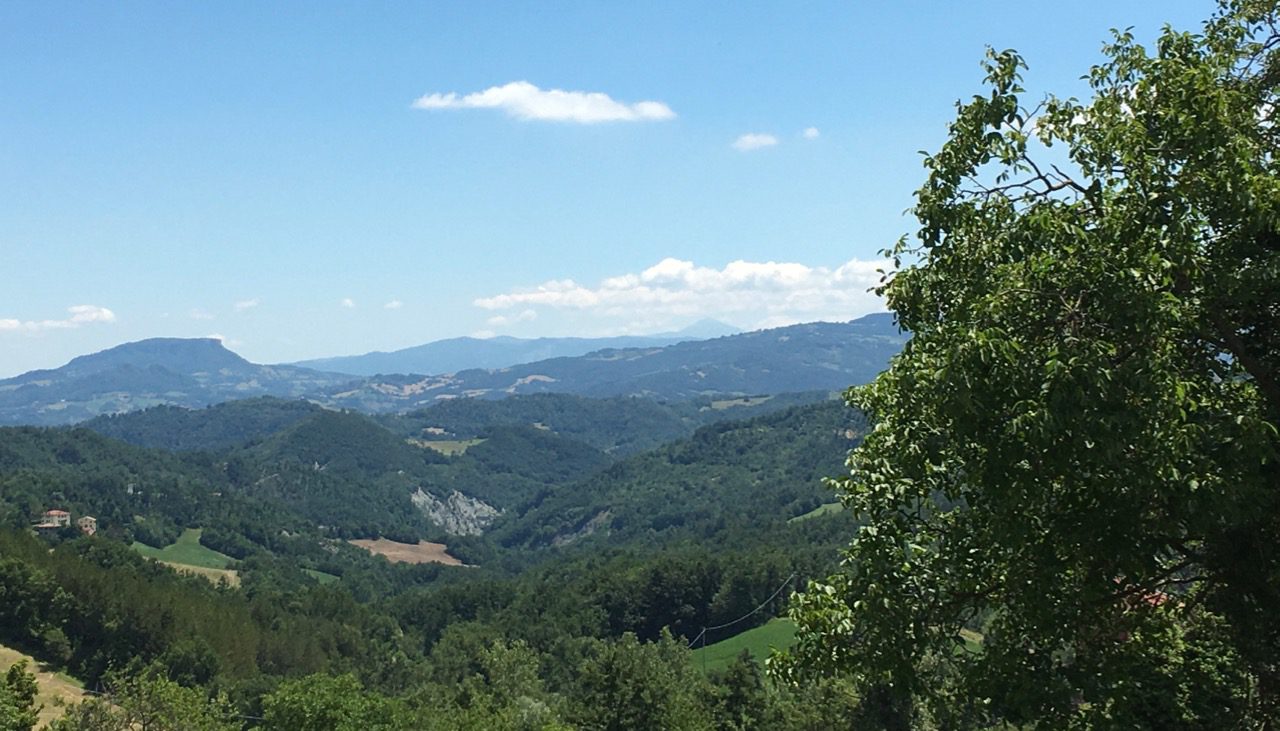 Cereali E Dintorni. Proseguono Le Sorprese Dell’USDA. (news Del 8 Luglio 2020 Per Averle In Tempo Reale Tel. Al Dr. Mario Boggini)