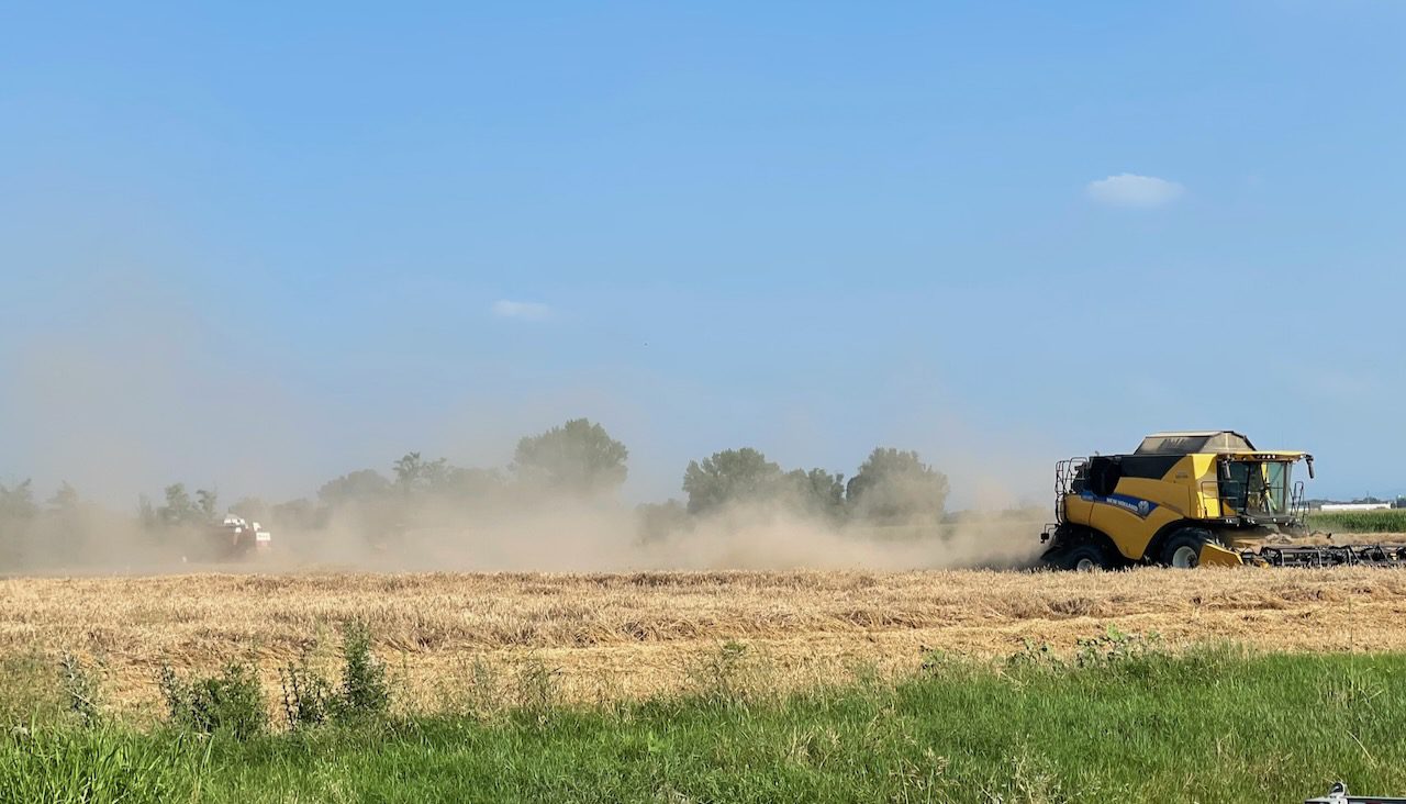 “Cereali E Dintorni”. Prezzi Nel Caos